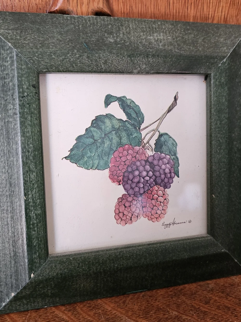 Vintage Peggy Abrams Fruit Prints Set of 3 Green Frames Cottagecore